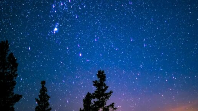 Cielo stellato e alberi &copy; Pexels.com