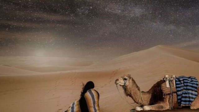 Dromedario nel deserto - &copy; Pixabay.