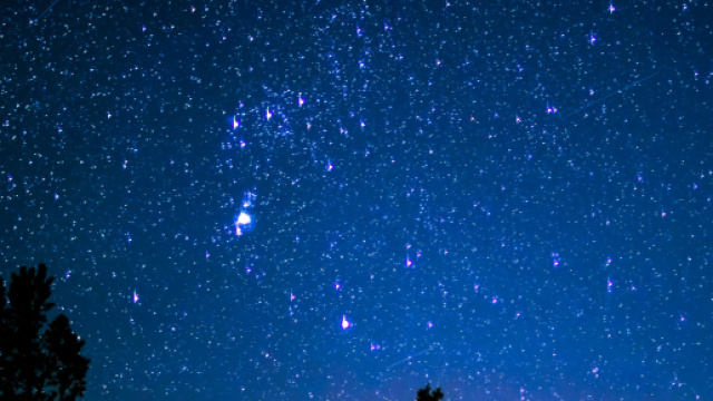 Cielo stellato e alberi &copy; Pexels.com