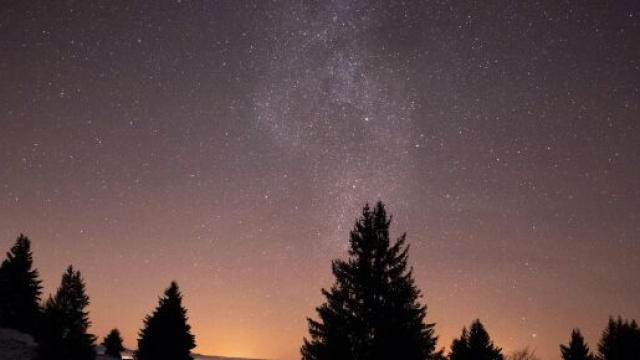 Alberi e cielo stellato - &copy; Pexels