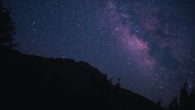 Cielo stellato e alberi &copy; Pexels.com