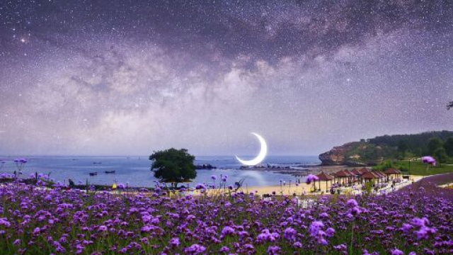 Prato con margherite e la luna sul mare - &copy; Pixabay