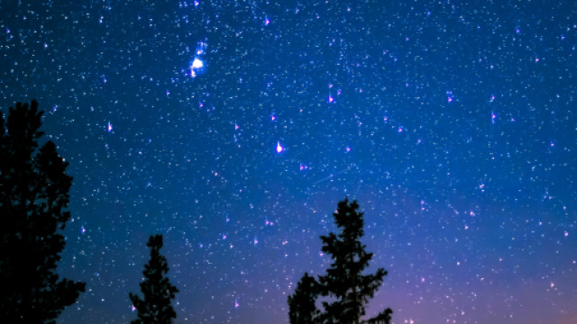 Cielo stellato e alberi &copy; Pexels.com