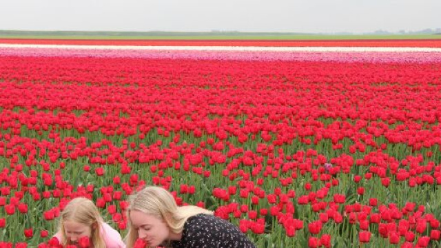 Prato fiori con ragazze - Immagine di &copy; Pixabay.