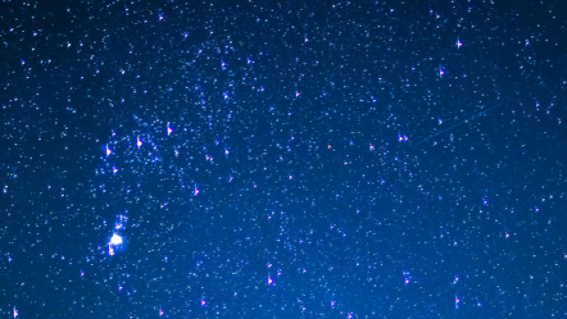 Cielo stellato e alberi &copy; Pexels.com