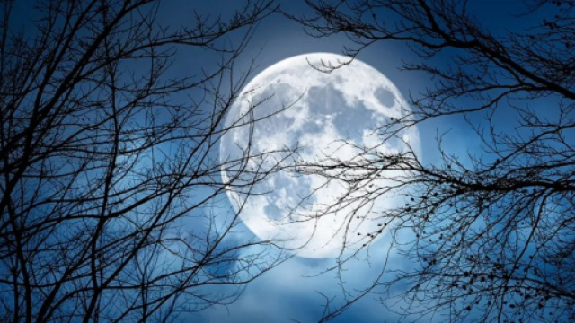 In foto la Luna &copy; Immagine Pixabay