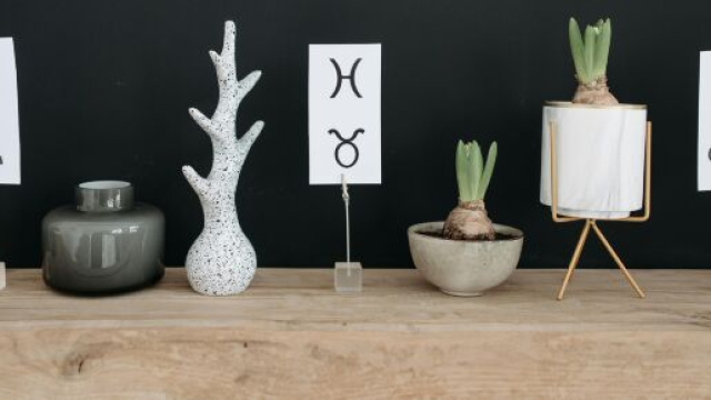 Segni zodiacali e piante - &copy; Pexels.