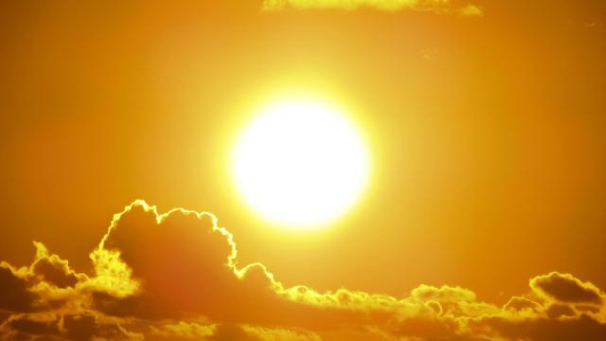 Oroscopo del 25 maggio: per il Sagittario momento promettente in ambito professionale
