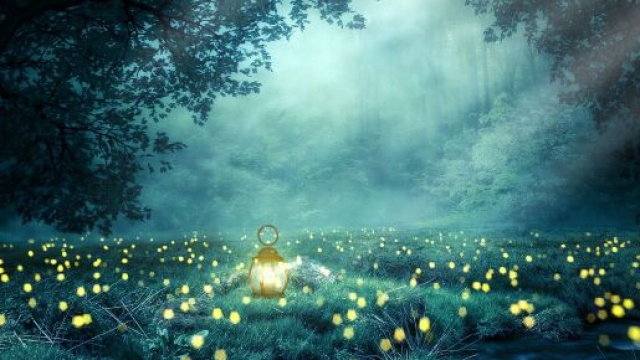 Paesaggio con lucciole &copy; Pixabay.