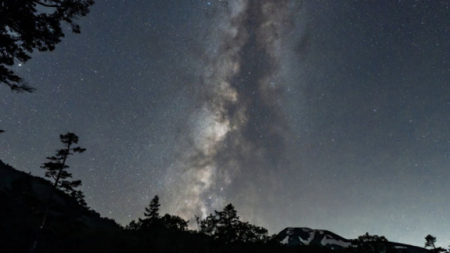 Cielo e stelle sopra il bosco - &copy; Pixabay.