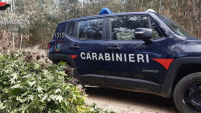 Camionetta dei Carabinieri - &copy; Carabinieri del Nucleo Forestale di Crotone