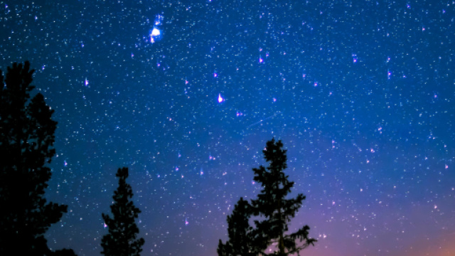 Cielo stellato e alberi &copy; Pexels.com