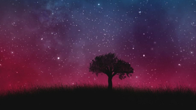 Un albero immerso nel cielo stellato - &copy; Pixabay.