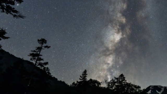 Un bosco al centro di un cielo stellato - &copy; pixabay.com