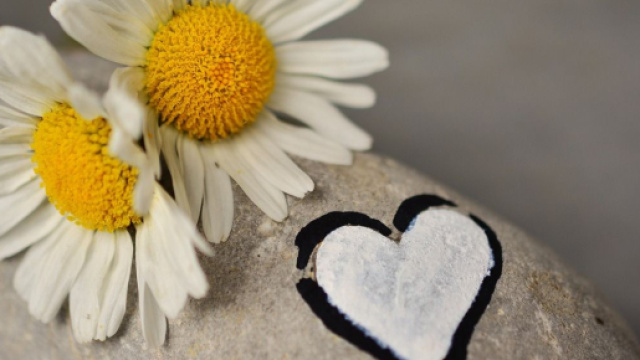 Due margherite e un cuore &copy; Pixabay