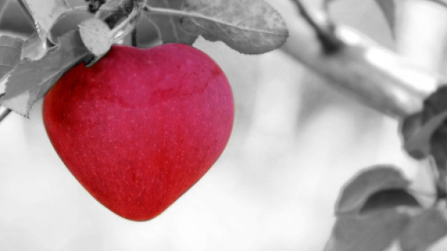 Mela a forma di cuore - Immagine &copy; Pixabay.