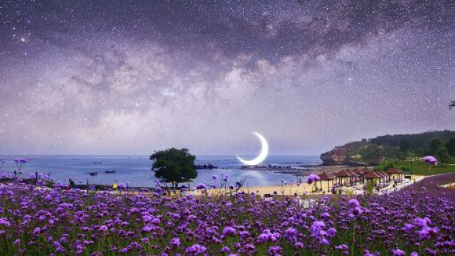 Prato viola, mare e cielo stellato &copy; Pixabay.