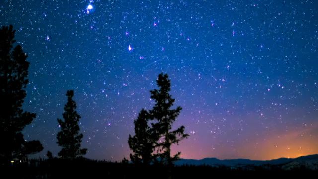 Cielo stellato e alberi &copy; Pexels.com