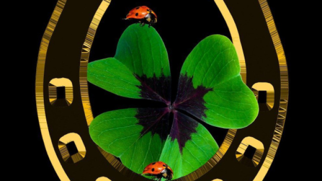 Coccinelle e quadrifoglio della fortuna su ferro di cavallo &copy; Foto Pixabay.