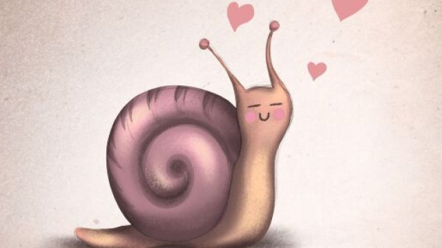 Una lumaca, oroscopo &copy; Immagine di Pixabay