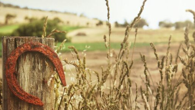 Oroscopo agosto 2024 &copy;Immagine di Pixabay