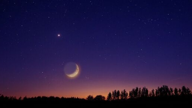 Luna e stelle su un piccolo bosco - pixabay.com.