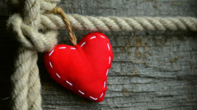 Cuore rosso legato ad una corda su tronco d'albero - &copy; Pixabay