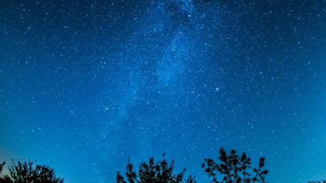 Cielo stellato con alcuni alberi - &copy; Pexels.