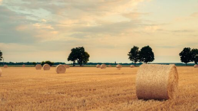 Campo con balle di fieno- &copy; Pexels.