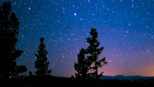 Cielo stellato e alberi &copy; Pexels.com