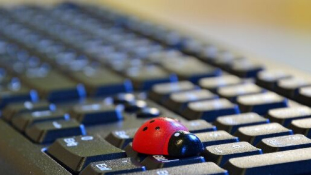 Tastiera del computer con una coccinella &copy; Pixabay
