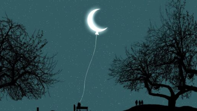 Luna a palloncino di notte &copy; Pixabay