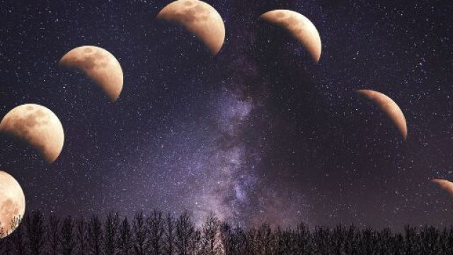 Cilo stellato con varie fasi lunari &copy; Pixabay.