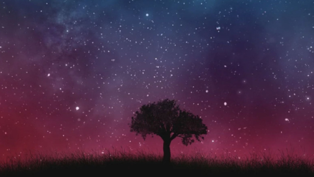 Un albero immerso nella natura - &copy; Pixabay.