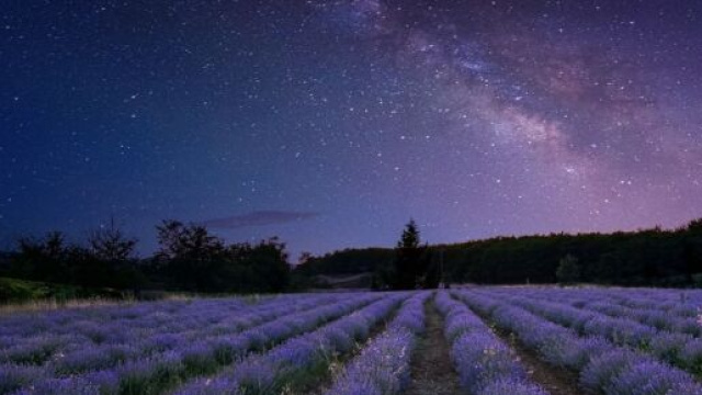 La Via Lattea - Foto &copy; Pixabay.