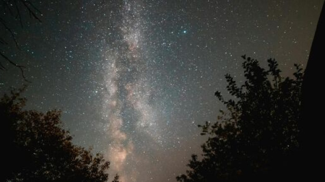 Cielo stellato e alberi - &copy; Pexels.