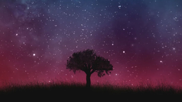 Albero in un campo di stelle - &copy; Pixabay.