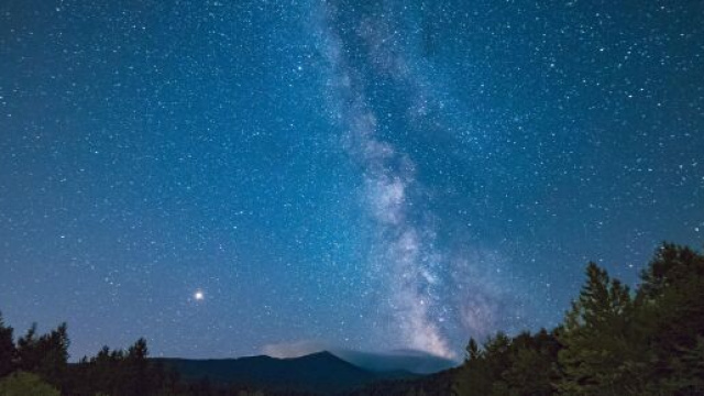 Cielo stellato e alberi &copy; Pexels.com