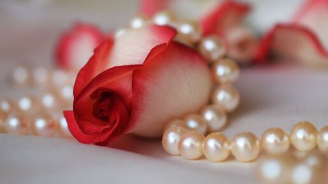Una rosa e Perle &copy; pixabay.com