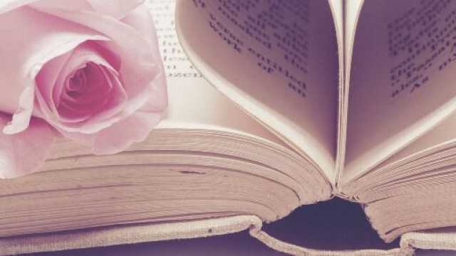Un libro con una rosa &copy; Pixabay