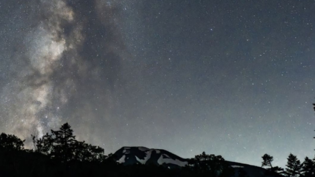 Un cielo stellato sopra le ombre di un bosco - &copy; Pixabay.