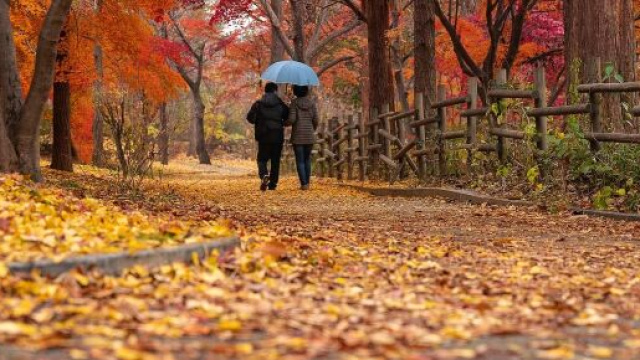 Una coppia che cammina lungo un viale di alberi di autunno &copy; Pixabay