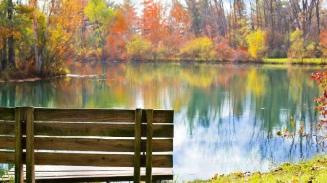 Un paesaggio autunnale (&copy;pixabay.com)