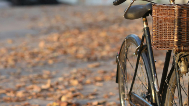 Bicicletta e foglie secche - &copy; Pexels.