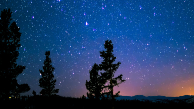 Cielo stellato e alberi &copy; Pexels.com