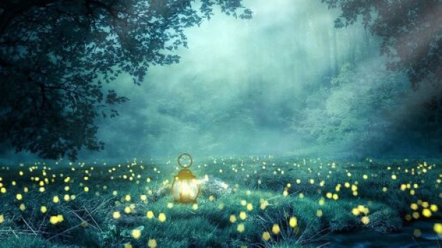 Una lanterna in un bosco (&copy; Pixabay).