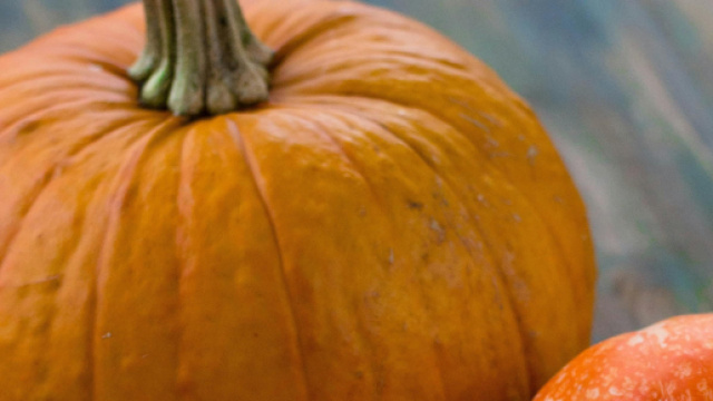 Due esemplari di zucca &copy; Pexels.com
