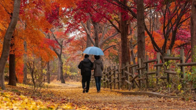 Una coppia che passeggia in mezzo alla natura autunnale &copy; Pixabay