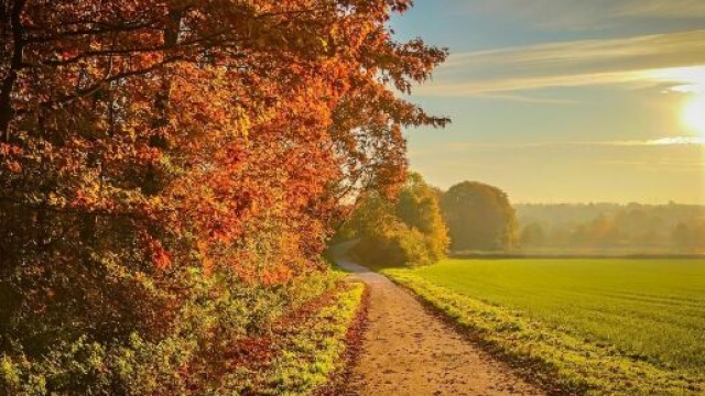 Un tramonto autunnale - &copy; Pixabay.