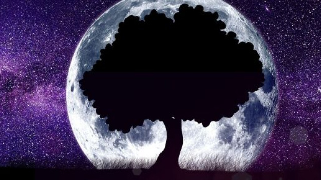 Luna con albero &copy;Immagine di Pixabay.